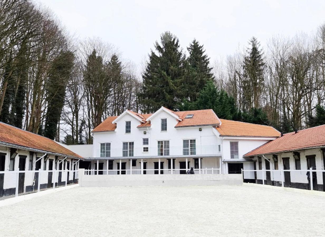 Royal Horses Panzió Overijse Kültér fotó